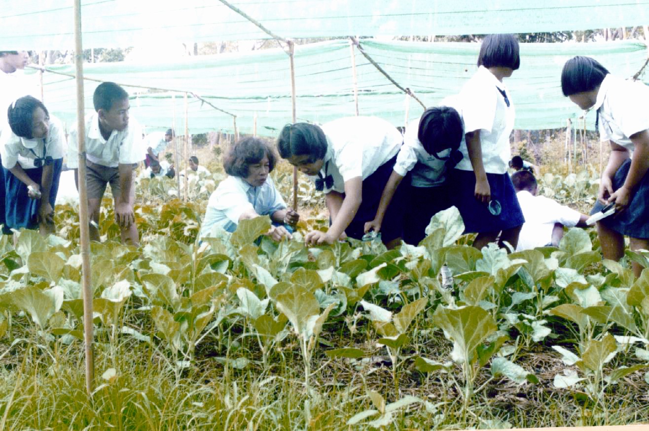 โครงการรุ่งอรุณ (ระยะที่ 2)